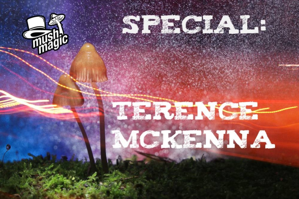 La Vie et l’Esprit de Terence McKenna