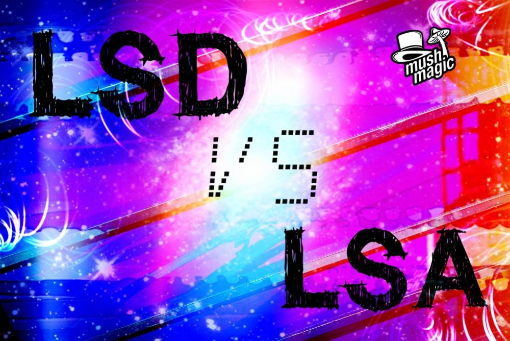 Quelle Est La Différence Entre Le LSA Et Le LSD ?
